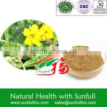 chineses Tribulus terrestris extract 90% Saponins