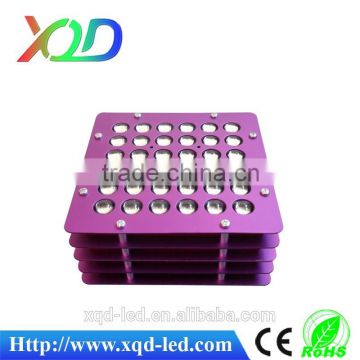 XQD 72W Full Spectrum LED Grow light for medical flower veg