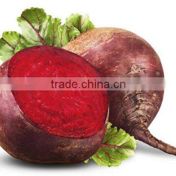 Fresh Vegetables Suppliers photo-3