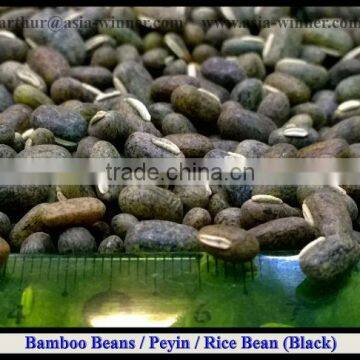 Rice Bean [ Black ]