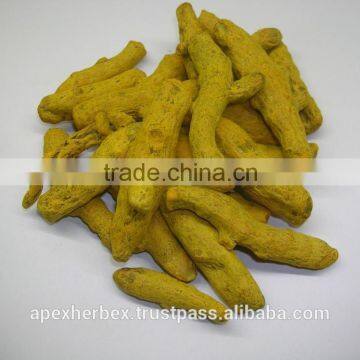 Turmeric Fingers Whole spice / Turmeric / Curcuma Longa Fingers