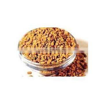 FENUGREEK SEEDS