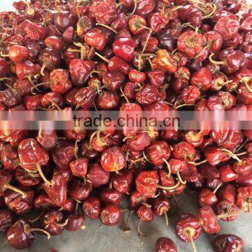 Dry Round Red Chilli From India photo-4