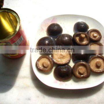 Canned Whole Button Mushroom