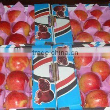 Top Pomegranate & Fresh & Delicious & Dark Red Pomegranate