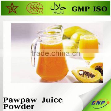 BNP supplier natural carica papaya powder