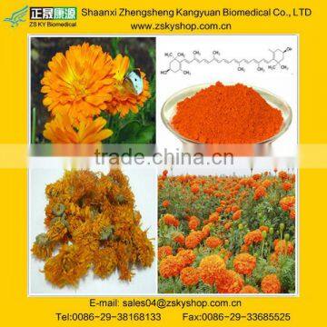 98% pure zeaxanthin, CAS No. 144-68-3 from GMP manufacturer