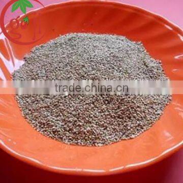 High Quality Goji Berry seeds for growing plants