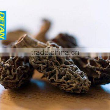 Dried Morchella Esculenta Made in China photo-4