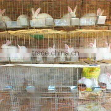 New Design High Quality Rabbit Cages for Sale ISO Certificate Rabbit Cage/vertical Cage