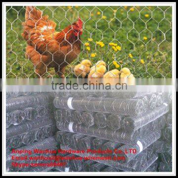 high quality agriculture farming hexagonal chicken wire netting