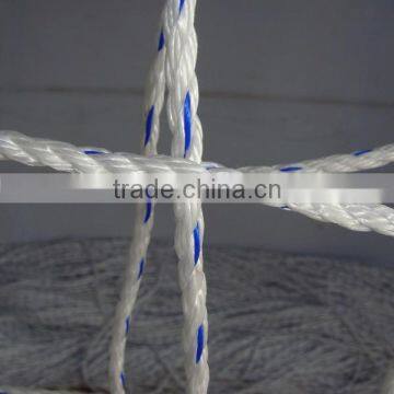 PP Danline Net Rope