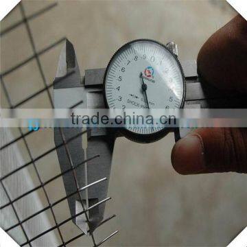 2x2 Galvanized Pvc Coated Welded Wire Mesh/ Welded Wire Mesh Panel photo-2