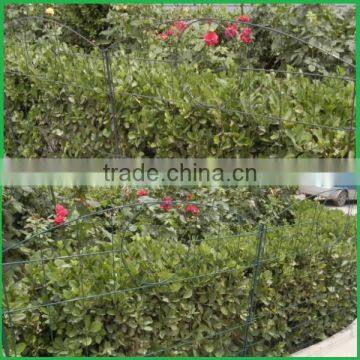 Coated Border Green Garden Wire Mesh Fence, Collapsible Fence photo-2