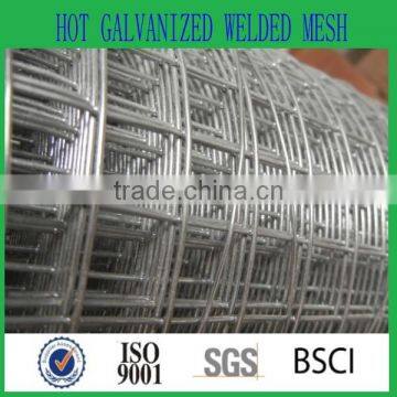 ELECTRO GALVANIZED WELDED MESH 50x50