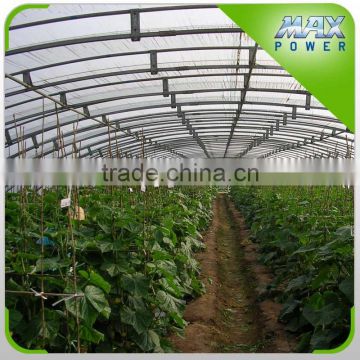 Good quality vegetable tunnel greenhouse from factory