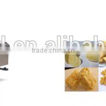 DBS potato chips automatic frying machine