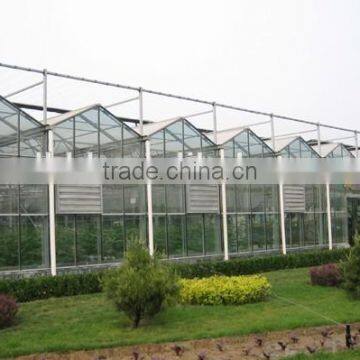 Glavanized Steel Structure Glass Covered Greenhouse photo-5