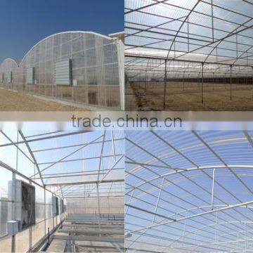 Polycarbonate Agricultural Greenhouse Sheet (Valuview ROMA) photo-2