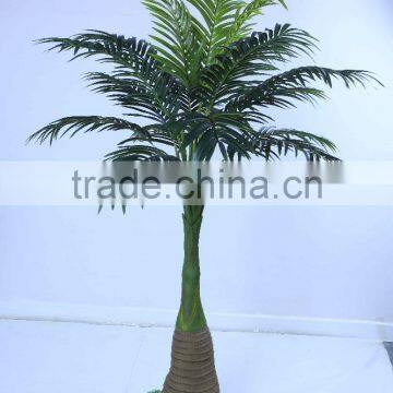 SJ12001163 Top Selling Palm Tree/mini Palme Plant Craft photo-4