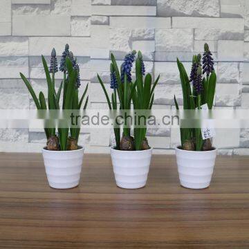 Plastic Hyacinth Flower Bonsai for Home and Commercial Decoation photo-5