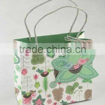 Colorful Shopping Paper Bag With Card /Printed Foldable Gift Bag
