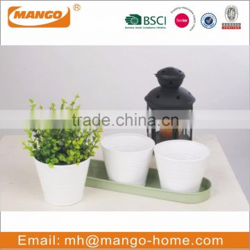 Colorful Powder Coating Mini Metal Flower Pot