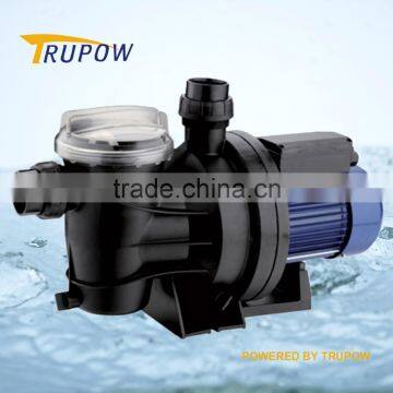 Swimming Pool Filter Pump for Cleaning the Pool