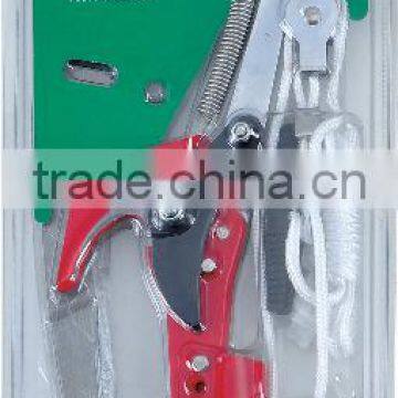 Telescopic tall pole power tree pruner