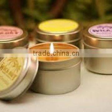 Apple Aroma Jar Type and Scented Feature Custom Glass Jar Candles for Home Decoration photo-3