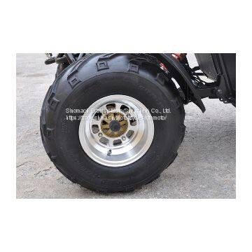 China 150cc 300cc Huting Utv Cvt Transmission photo-4