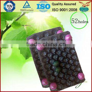 Canada Popular Wholesale Greenhouse Agriculture Products Packaging Plastic Tomato Tray photo-6