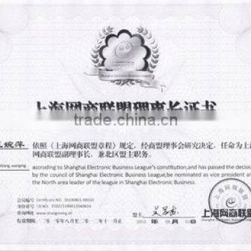 Shanghai Electronic Business league director-gener