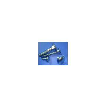 Sell Carriage Bolt (DIN603)