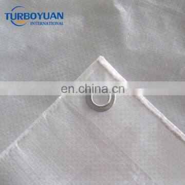 transparent reinforced woven fabric plastic cover for greenhouse/cherry tree clear Tarpaulin