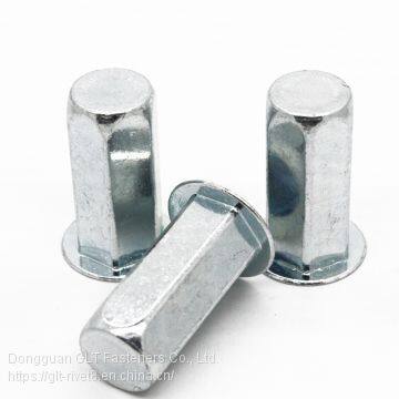 Close end Blind rivet nut