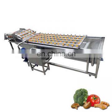 China Made Commercial Fruit Vegetable Washer Lettuce Spinach Washer Cleaner Machine for Sale photo-6