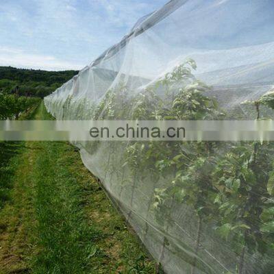 100% HDPE Agriculture Monofilament 32 Mesh Anti Insect Net for Greenhouse/anti Aphid Net/fruit Net Protection Bag Low Price