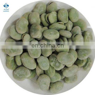 BRC Certified China New IQF Frozen Broad Bean Bean Broad photo-2
