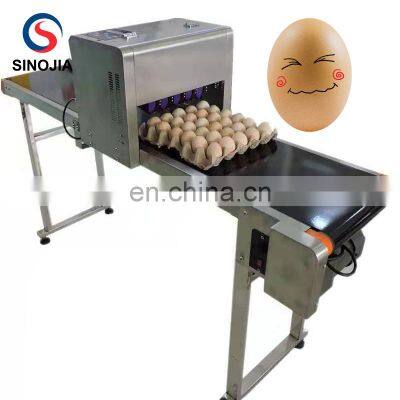 High Quality Expiry Date Printing Machine on Egg / Egg Inkjet Printer /  Logo Picture EggPrinter for Supermarket Farm