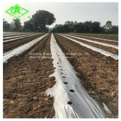 Factory Direct Sales of Silver Shine Plastic Mulch Films photo-5