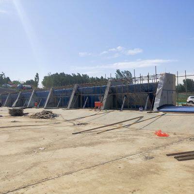 Low-Cost and High-Efficiency Hydraulic Elevator Dam Designed for Urban Landscape Creation Drought Resistance and Peak-Valley Power Regulation photo-4