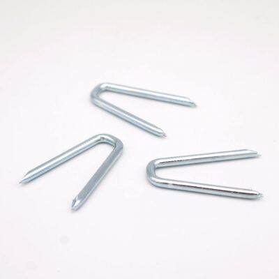 Q195 Carbon Steel U Type Nails for Fence Staples With Zinc Plating photo-2