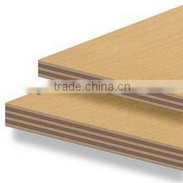 Chinese Hot Selling Brown Film Faced Plywood photo-6