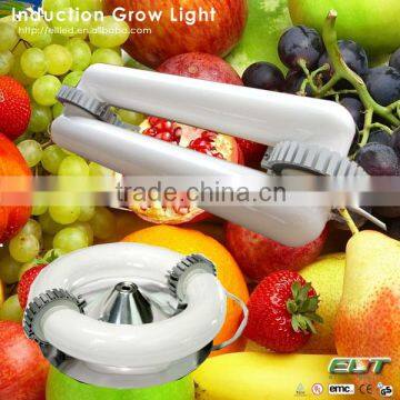 Plant Grow Light Item Type Magnetic Induction Cob Led Grow Light