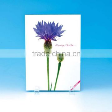 Opp Laminated Paper Packing Bags for Flower Seeds