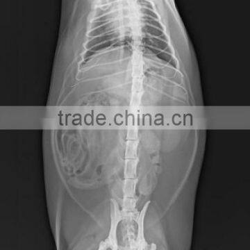 Medical dry film manufacturer,fuji printing machines