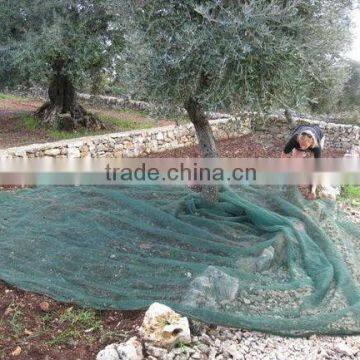 HDPE Olive collecting Nets /kevlar net