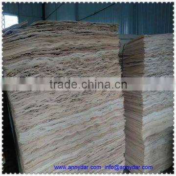 poplar core veneer poplar veneer poplar wood