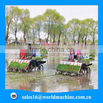 Labout saved Best quality Rice Seedling Planter machine / Paddy transplanter from China